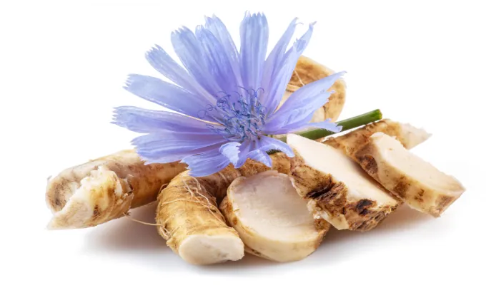 Chicory Root Inulin – Emma Relieve prebiotic fiber ingredient