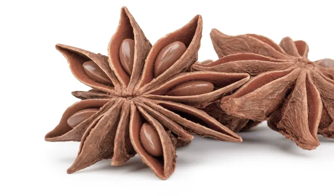 Star Anise – Emma Relieve natural digestive relief ingredient